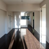 東京都港区白金台の賃貸物件/LDK。冬は木々の葉が落ち、部屋の奥まで自然光がよく入ってぽかぽか