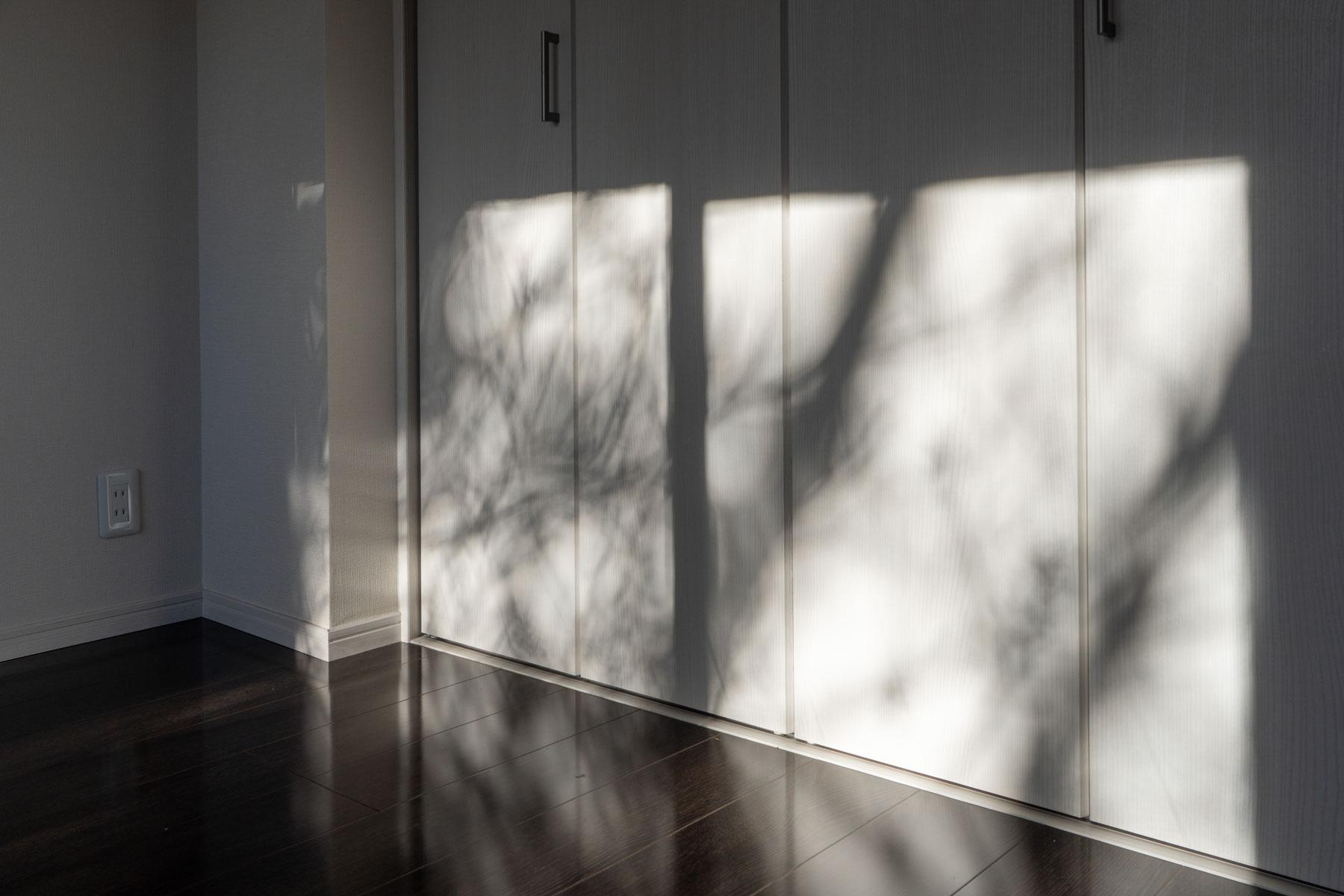 東京都港区白金台の賃貸物件/木漏れ日の気持ち良い物件です