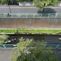 杉並区高井戸西の賃貸物件/共用部から見おろす神田川