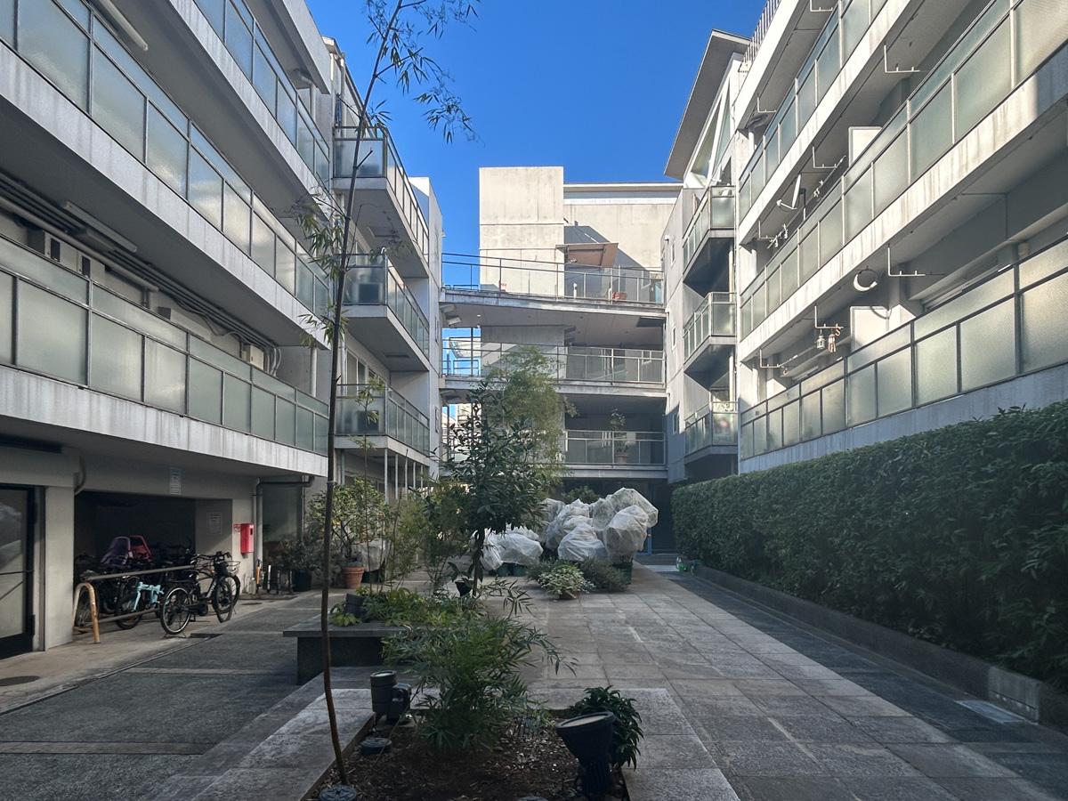 目黒区東山の賃貸物件/中庭。ビニールに覆われていますが、たくさんの緑が植っています。