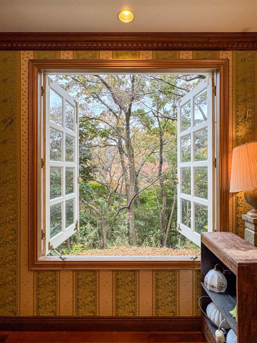 静岡県下田市白浜の売買物件/リビングからはこの景色。人目を気にすることなく、森の緑を楽しめます