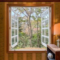 静岡県下田市白浜の売買物件/リビングからはこの景色。人目を気にすることなく、森の緑を楽しめます