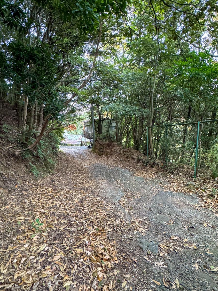 静岡県下田市白浜の売買物件/前面道路は滅多に車の通行がないそう