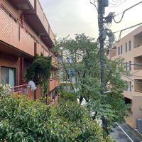 渋谷区千駄ヶ谷の賃貸物件/3F：窓の外に目をやるとそこには緑。都心でありながら自然の気配を感じられます