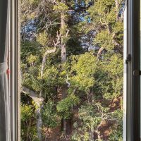 目黒区駒場の賃貸物件/北側の窓から。公園の緑が目の前に