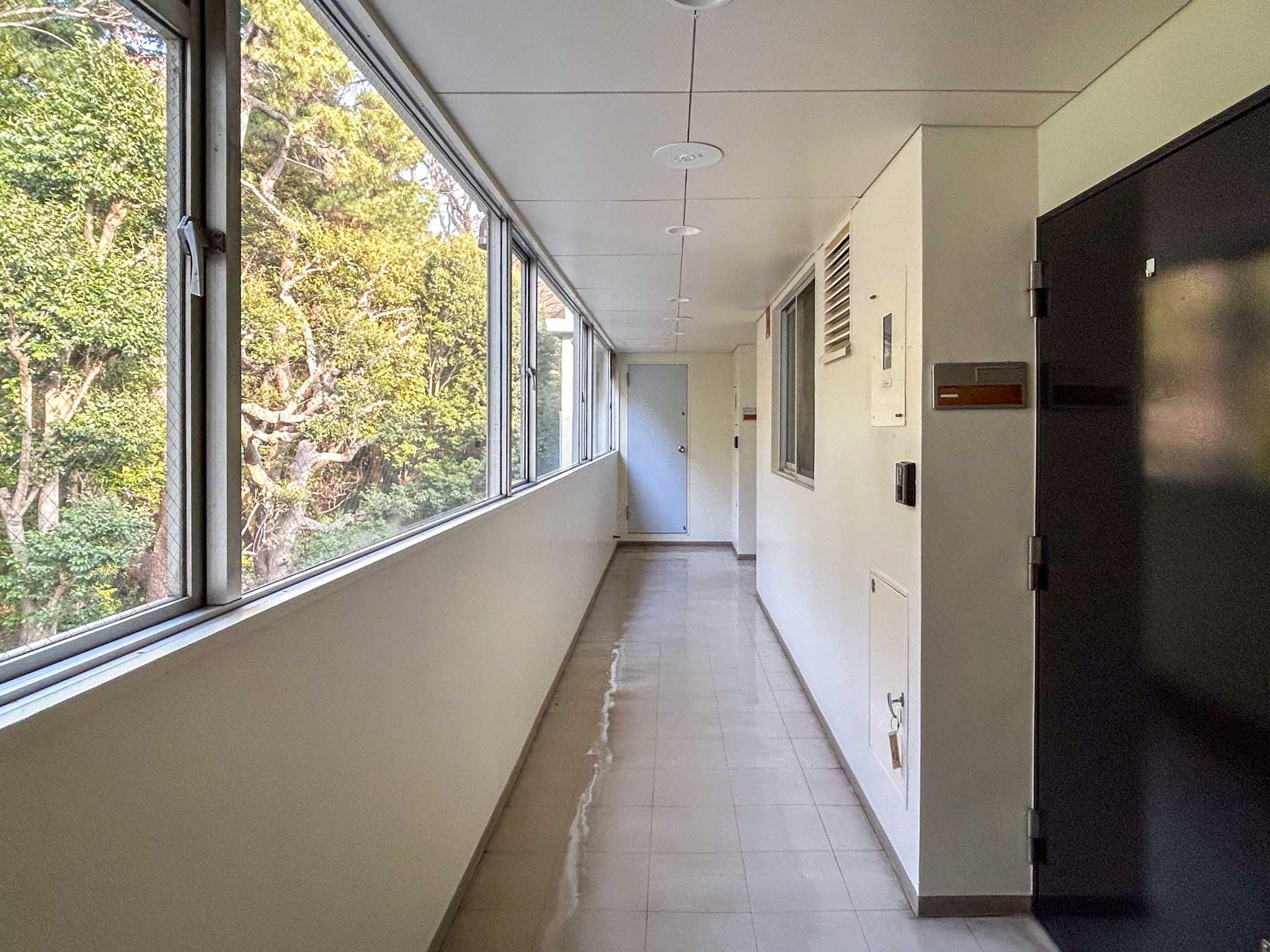 目黒区駒場の賃貸物件/共用廊下。各フロア2区画のみ。窓の先には公園の緑