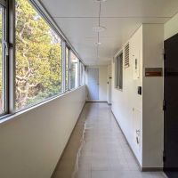 目黒区駒場の賃貸物件/共用廊下。各フロア2区画のみ。窓の先には公園の緑