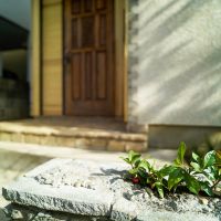 中野区上高田の賃貸物件/個人的にヒットしたのが、塀を壊した際にできた穴に植えた植栽。愛でたくなる工夫ですね