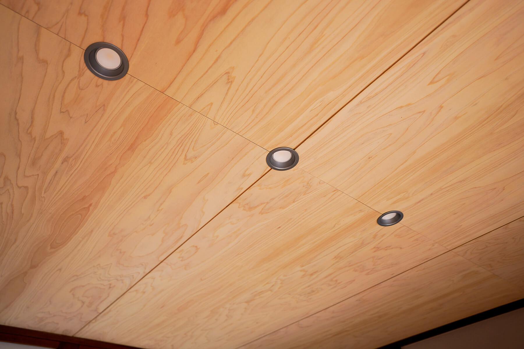 中野区上高田の賃貸物件/照明は既存の天井に穴を開けてダウンライトにしました