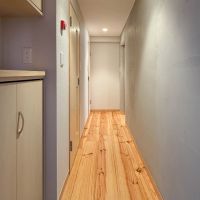 品川区東品川の売買物件/玄関。下駄箱や扉などにはシナ材が使われています