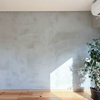 品川区東品川の売買物件/薄くモルタルが左官された壁が素敵