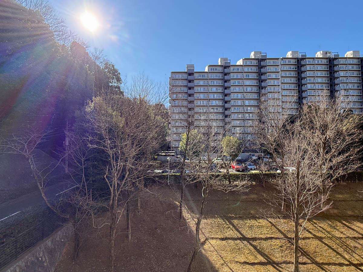 町田市山崎町の売買物件/南面のバルコニーからの景色。左手には雑木林の木々が茂る。棟間にゆとりがあり、緑が挟まる配置に