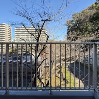 町田市山崎町の売買物件/正面からのアングル。右手にある緑が茂る場所は山崎公園