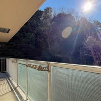 町田市山崎町の売買物件/南側バルコニー。東側に大きな雑木林があり、緑がこんもりしているのが嬉しい