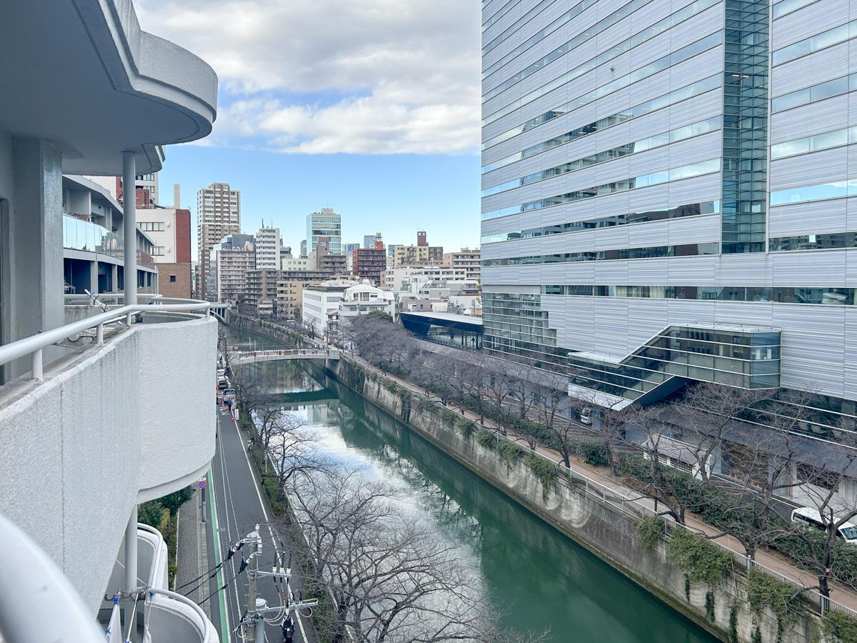 目黒区下目黒の賃貸物件/ベランダから見下ろすと、一面に目黒川と桜並木が広がっています
