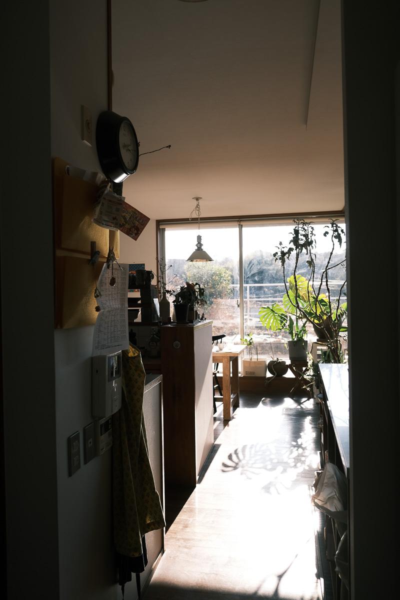 川崎市麻生区高石の売買物件/冬はキッチンよりさらに奥あたりまで陽光が入ります