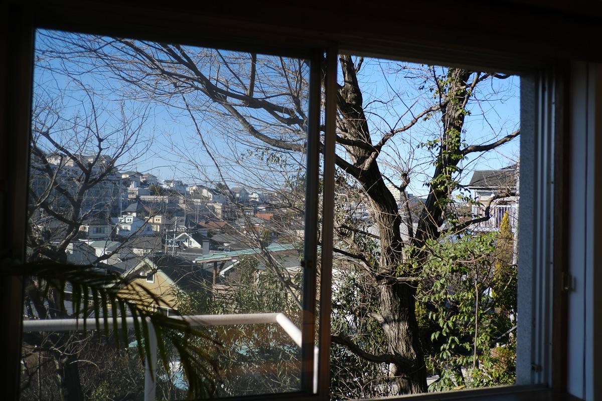 川崎市麻生区高石の売買物件/東側の窓の先には植栽の木々
