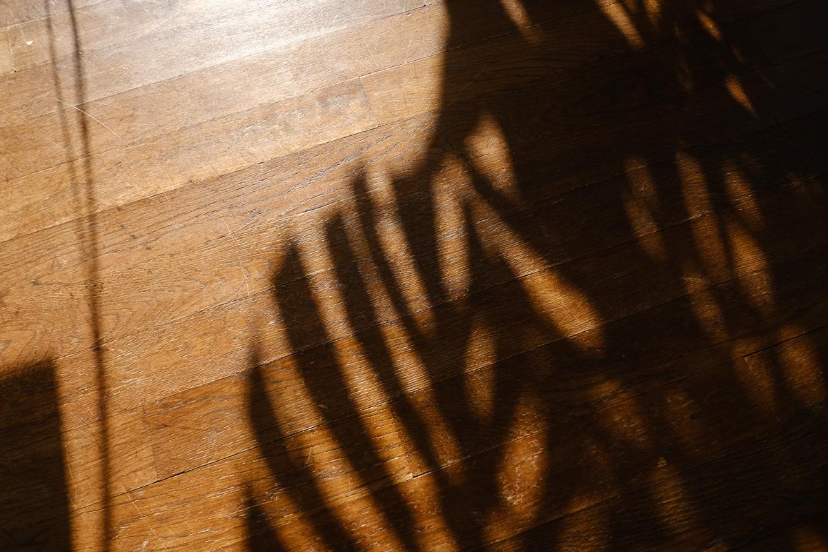 川崎市麻生区高石の売買物件/大事に住まわれてきたことがわかる、分譲時からの床