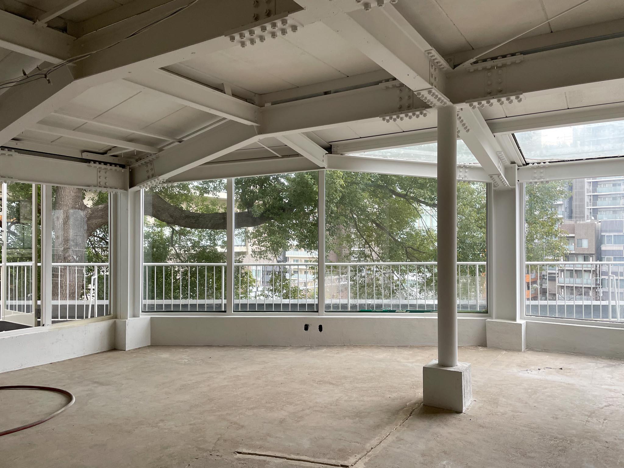 大田区山王の賃貸物件/大きな木がそっとこちらを覗き込んでいるように見えます