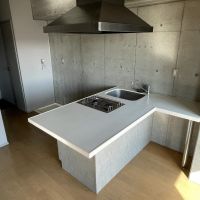 三鷹市井の頭の賃貸物件/広々としたカウンターが設けられたキッチンもオーナーのこだわりです