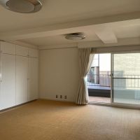 渋谷区代々木の賃貸物件/14畳洋室：床は毛足長めのカーペット