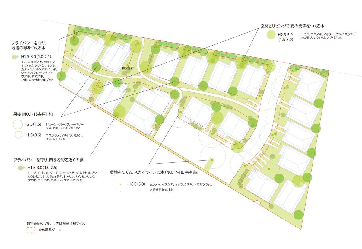 東京都東久留米市南町の売買物件/敷地には、高木、中木、そして続いていく緑の小道。一つの住戸では決してつくれない、連続する緑の情景をつくります