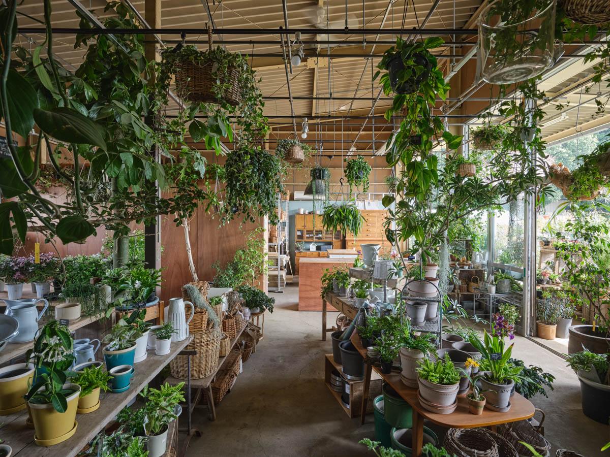 東京都東久留米市南町の売買物件/今回の計画地から徒歩7分ほどの場所には、タネニハの森による「アトリエ華もみじ」というお花屋さんもあります。フラワーアレンジメントの教室も開いています