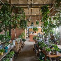 東京都東久留米市南町の売買物件/今回の計画地から徒歩7分ほどの場所には、タネニハの森による「アトリエ華もみじ」というお花屋さんもあります。フラワーアレンジメントの教室も開いています