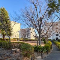 横浜市青葉区青葉台の賃貸物件/広い敷地に立ち並ぶ団地群。緑が多く、散歩したくなります