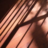 目黒区祐天寺の賃貸物件/良い色味の無垢フローリング