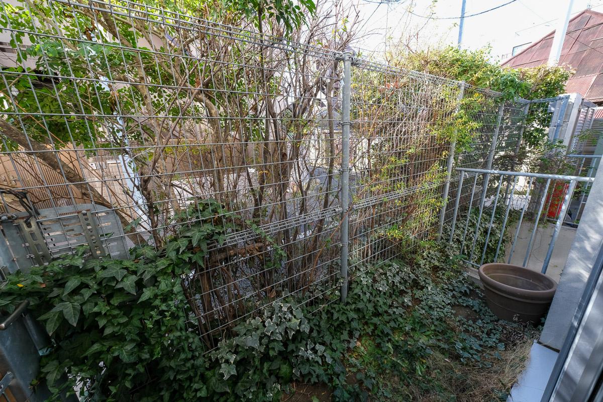 目黒区祐天寺の賃貸物件/1階の小庭。フェンスの向こう側は道路なので、植物を置いて目隠しするのも良いかもしれません