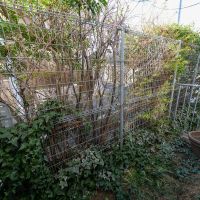 目黒区祐天寺の賃貸物件/1階の小庭。フェンスの向こう側は道路なので、植物を置いて目隠しするのも良いかもしれません