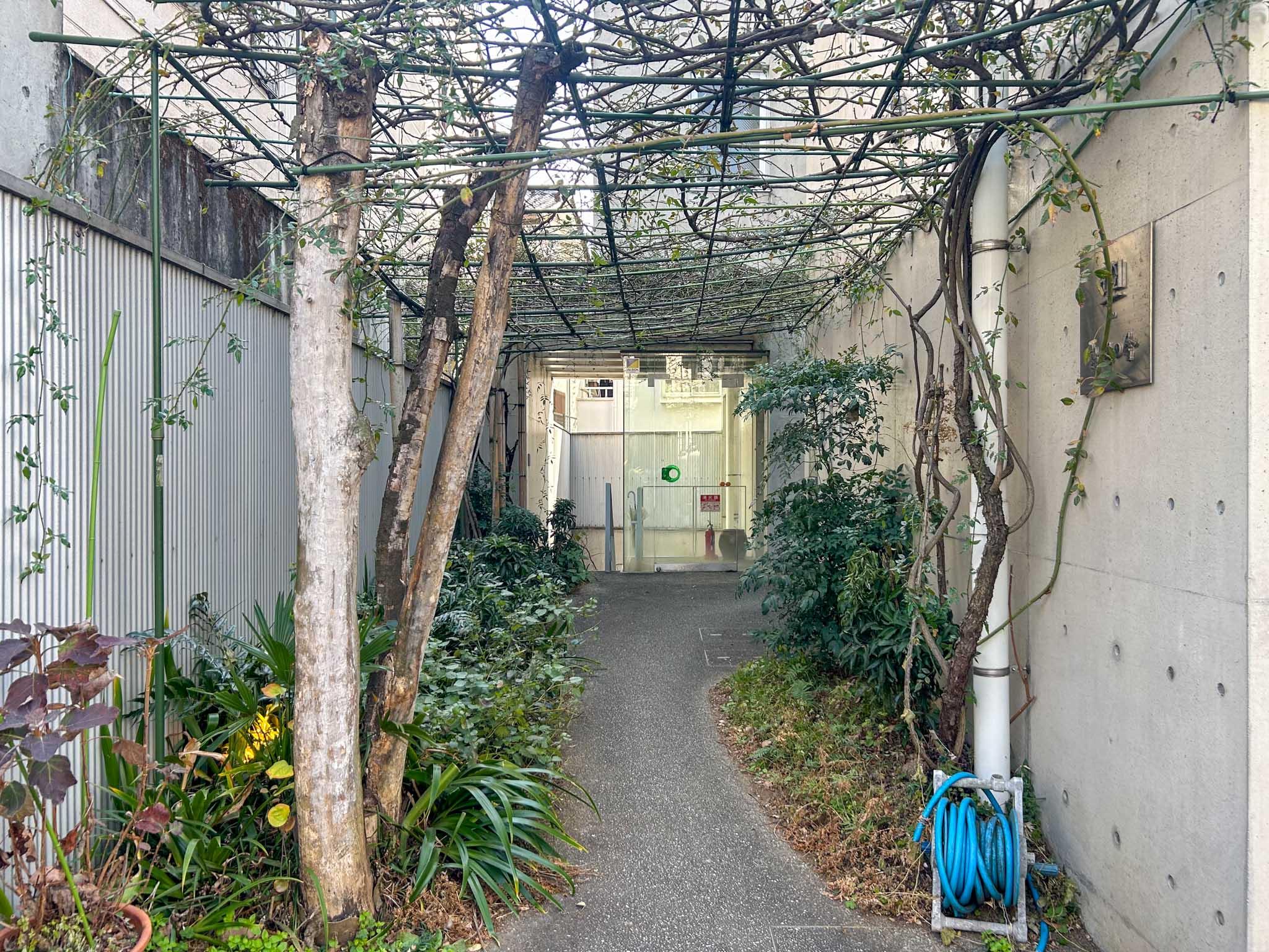 目黒区柿の木坂の賃貸物件/緑のパーゴラをくぐるアプローチ