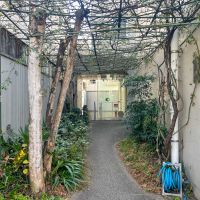 目黒区柿の木坂の賃貸物件/緑のパーゴラをくぐるアプローチ