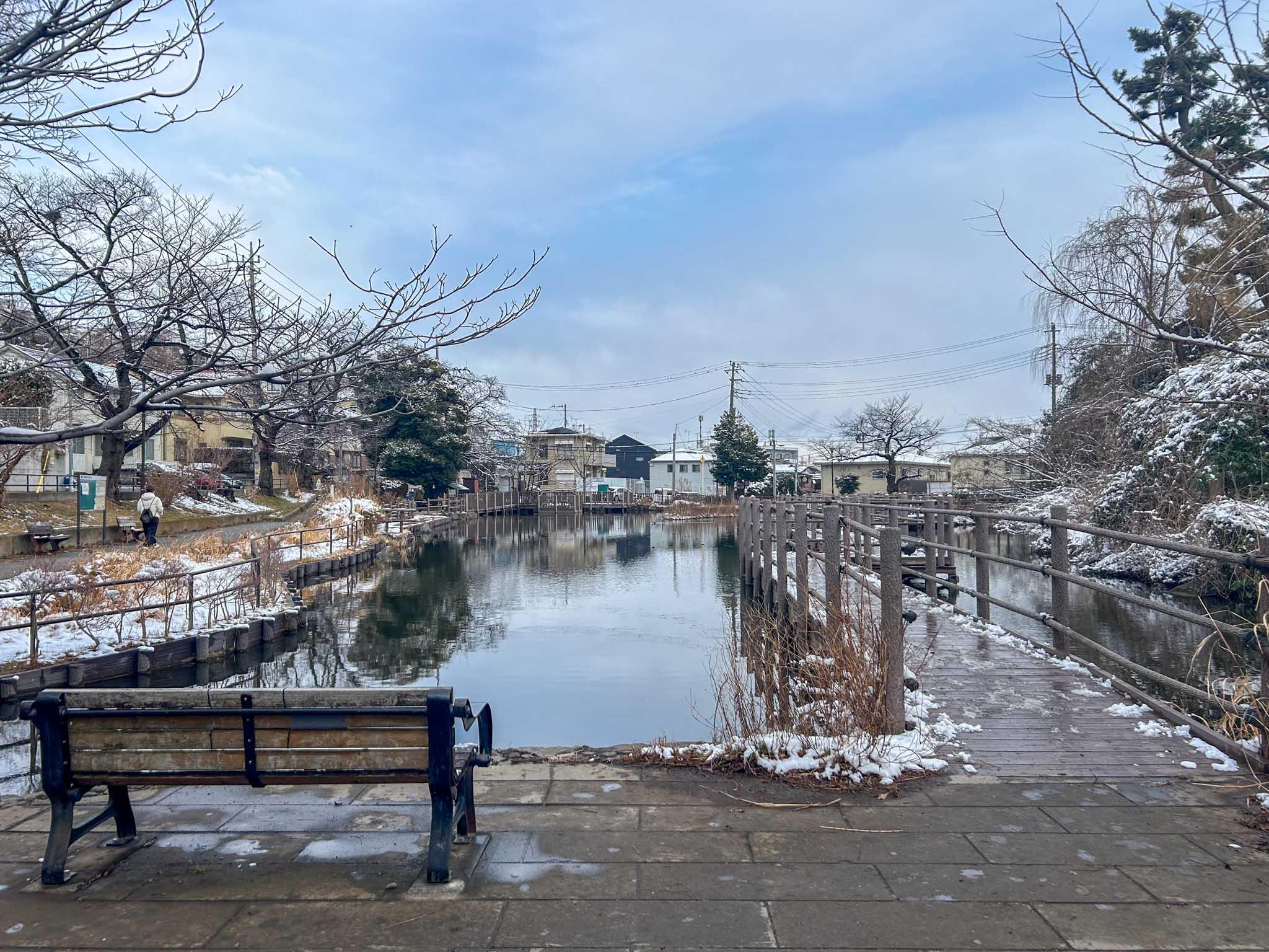 横浜市港北区篠原台町の賃貸物件/駅と物件の間にある「白幡池公園」。公園内にある桟橋が駅までの最短ルート