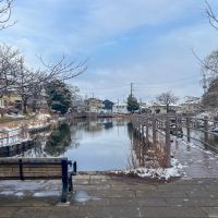 横浜市港北区篠原台町の賃貸物件/駅と物件の間にある「白幡池公園」。公園内にある桟橋が駅までの最短ルート