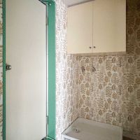 港区赤坂の賃貸物件/脱衣室