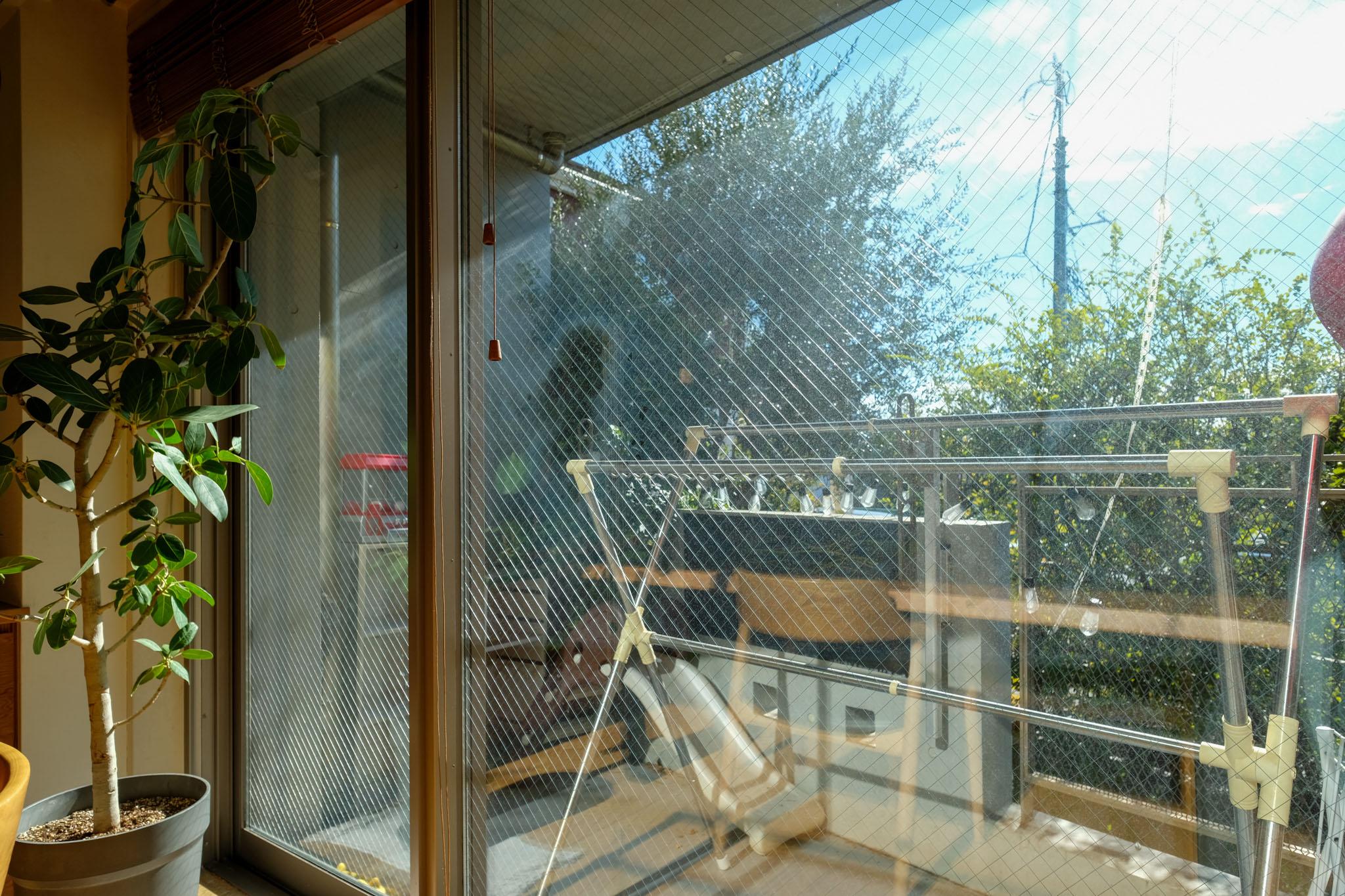 東京都世田谷区梅丘の売買物件/南向きのメインバルコニー。抜けがあって、朝の深呼吸が気持ちいい