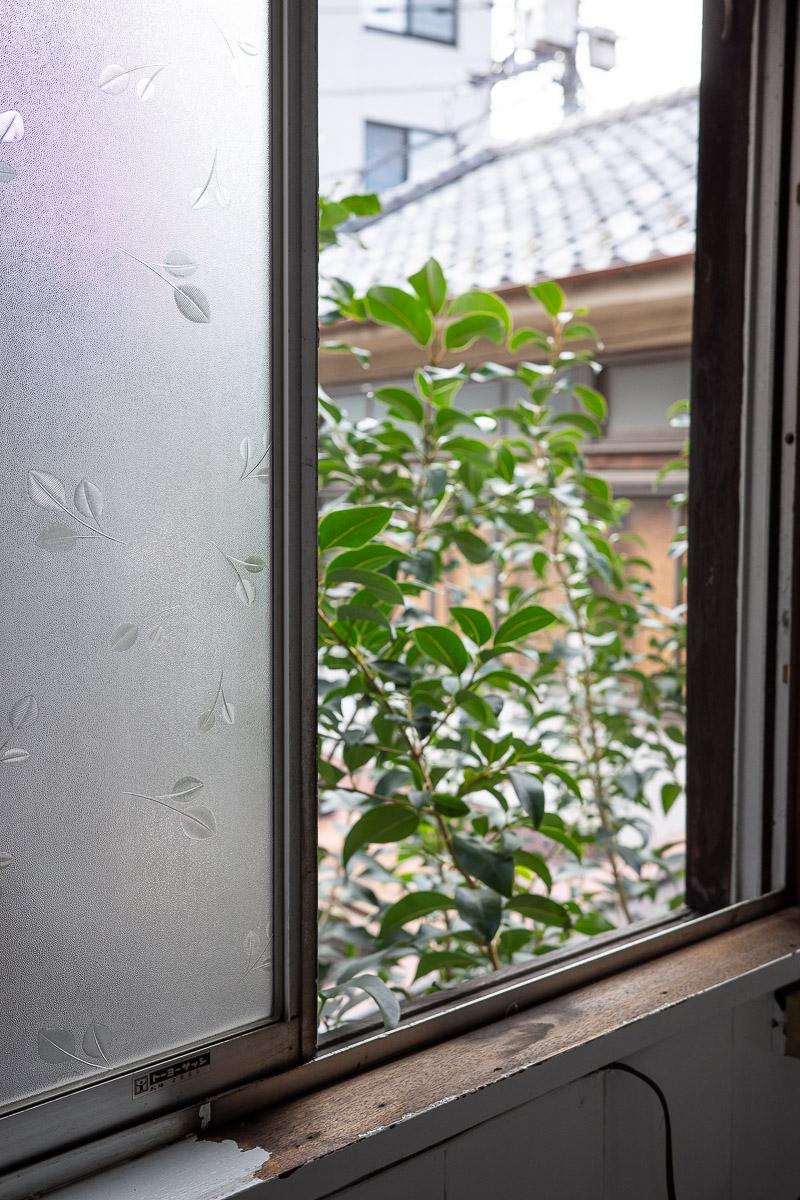 台東区根岸の賃貸物件/葉っぱの模様が可愛らしいすりガラス
