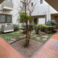 世田谷区松原の賃貸物件/共用部の中庭