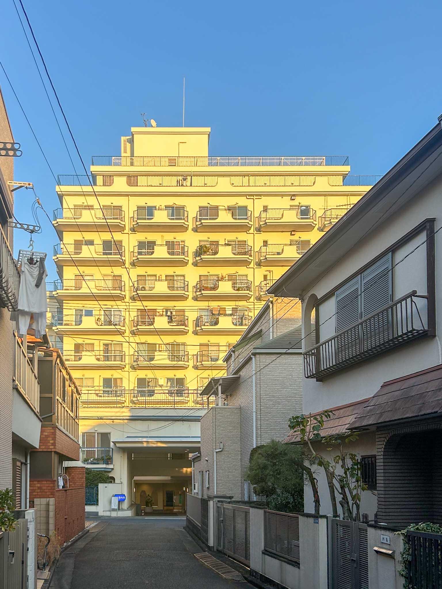 大田区山王の売買物件/街の隙間からみえる立ち姿。夕陽にあたり、光っています