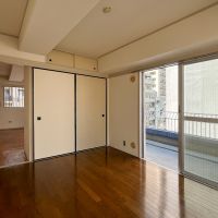 港区白金の賃貸物件/どの角度から見ても明るいです