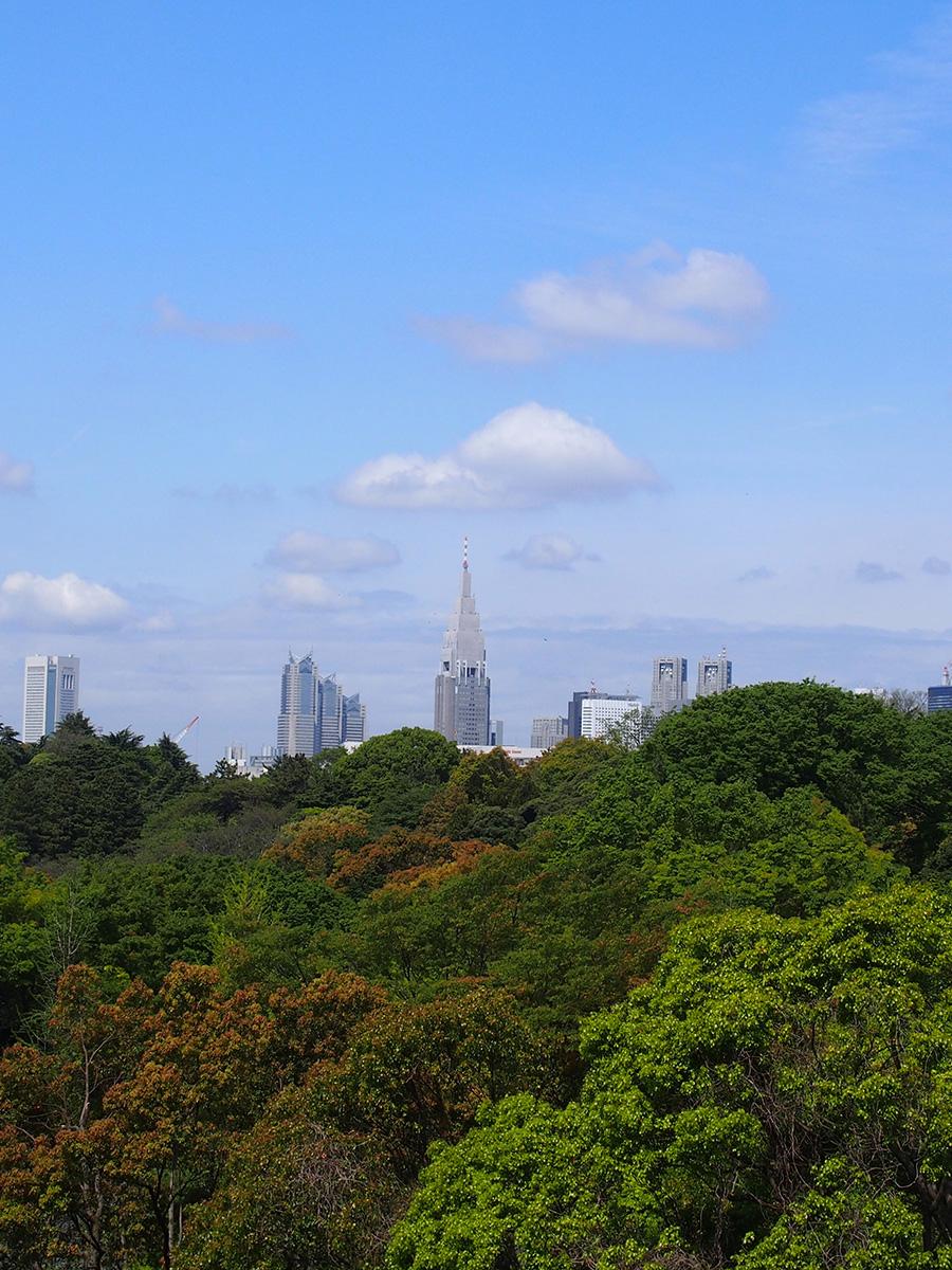 港区元赤坂の賃貸物件/屋上からの眺望