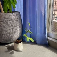 小金井市中町の売買物件/床材は天然素材でつくられているマーモリウム