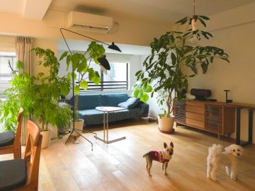 世田谷区等々力の売買物件/余白を育てる世田谷暮らし