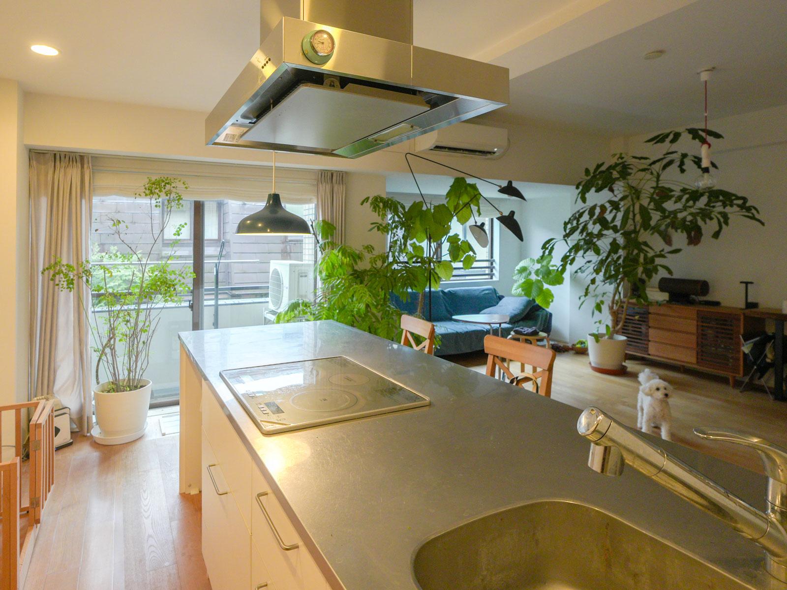 世田谷区等々力の売買物件/キッチンはIHコンロ3口。調理スペースもしっかり確保されています