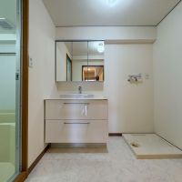 港区白金台の賃貸物件/洗面所　浴室とトイレにつながる