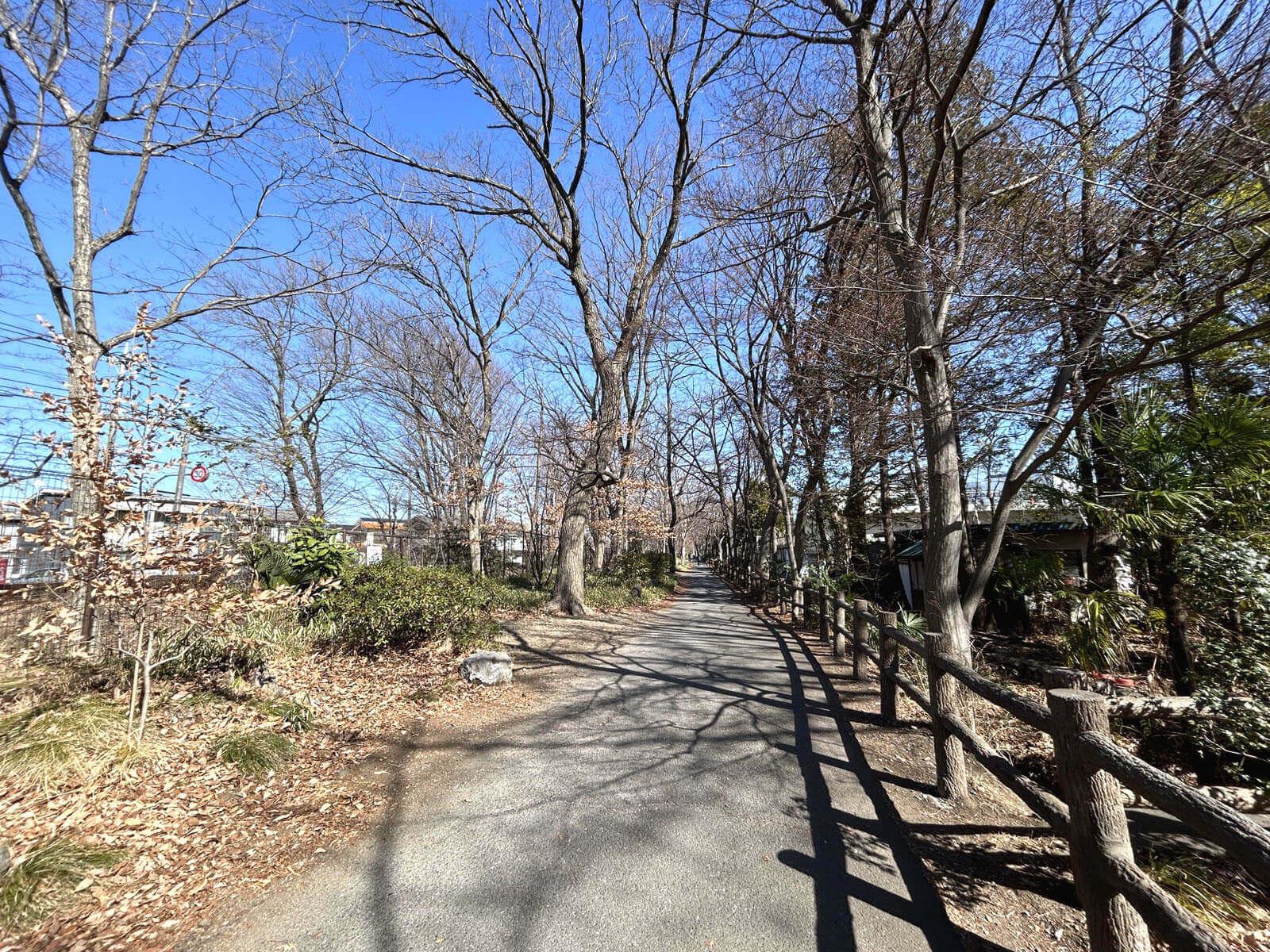 昭島市武蔵野の売買物件/駅から家の途中に用水沿いの並木道があり、季節の変化を楽しむ散歩ができそうです