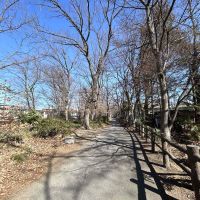 昭島市武蔵野の売買物件/駅から家の途中に用水沿いの並木道があり、季節の変化を楽しむ散歩ができそうです