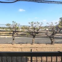 世田谷区鎌田の賃貸物件/目の前は浄水場。ほとんど人が通らないそうで、外からの視線は気にならないはず